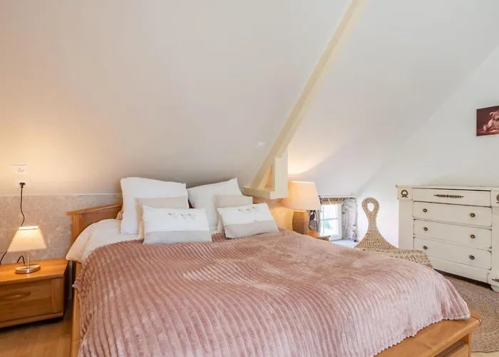 La Salicorne By Interhome Créances